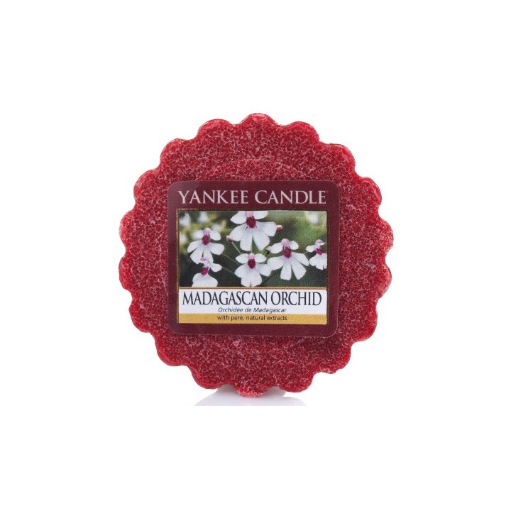 Madagascan Orchid illatú mini viasz